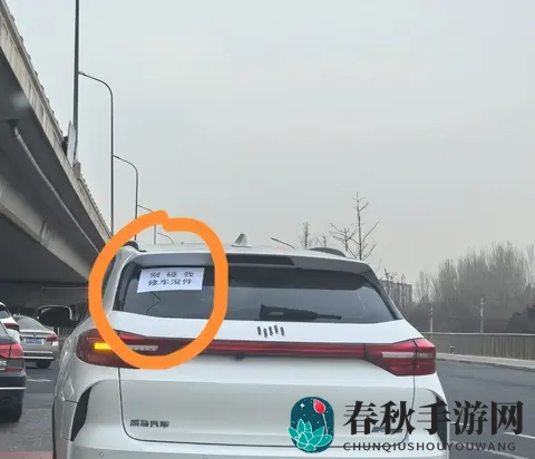 搡45老女人老妇女沈阳|沈阳手游攻略:老女人视角下的独特冒险-2